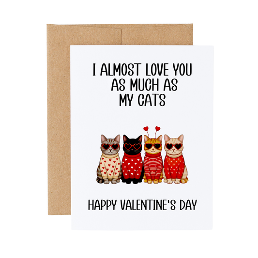 Cat Lover Valentine's Day Card